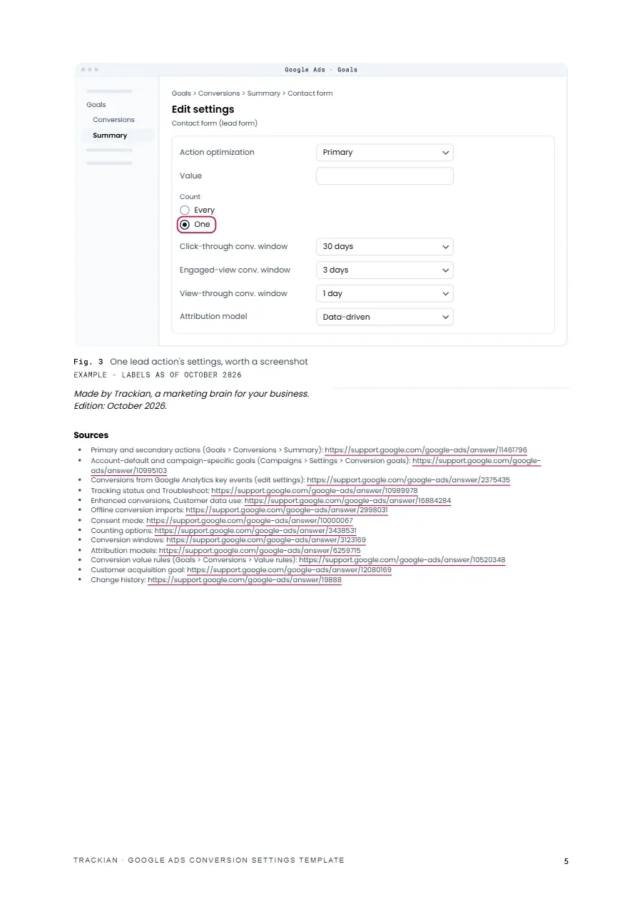 Page 5 of Google Ads Conversion Settings Template