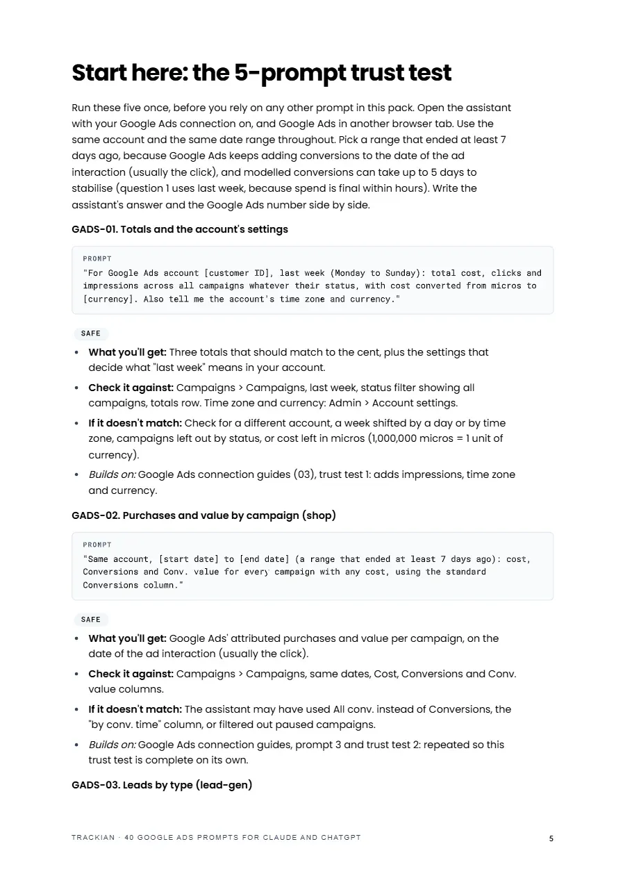 Page 6 of Google Ads prompt pack