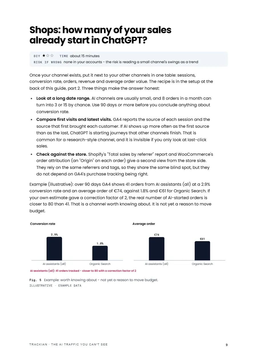 Page 10 of The AI Traffic You Can't See, shop edition