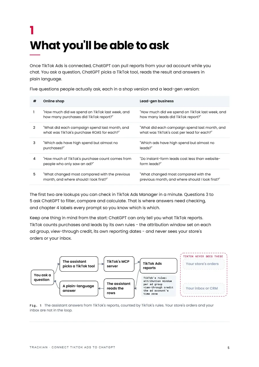 Page 6 of Connect TikTok Ads to ChatGPT